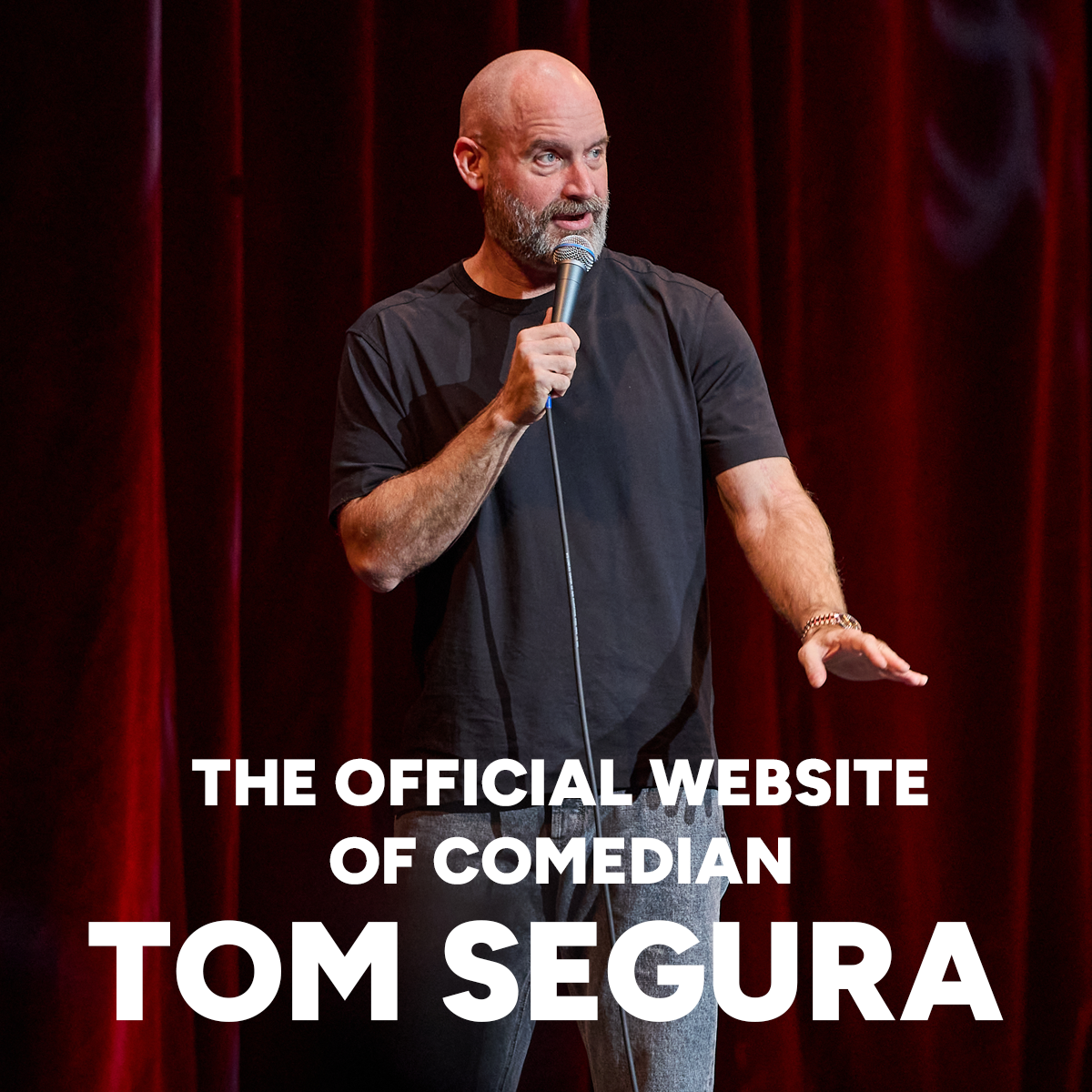 Official Website of Tom Segura